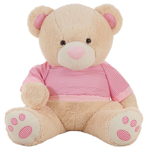 Oso De Peluche Camiseta Rosa