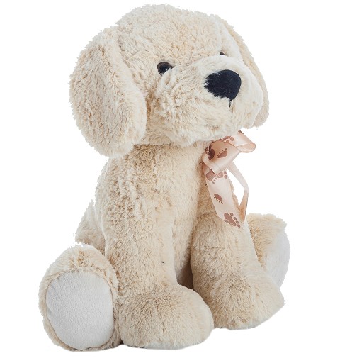 Perro De Peluche Dog