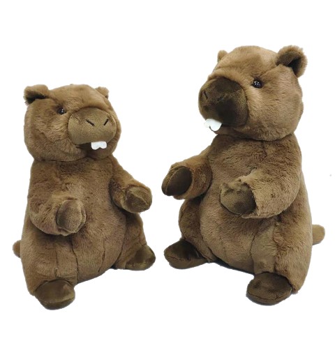 Marmotte Brune