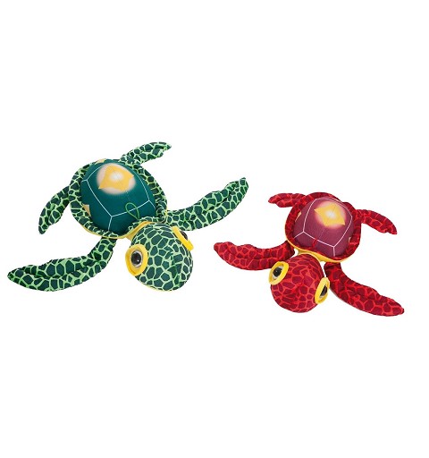 Tortuga Ojotes 3 Col Sur