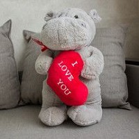 Peluche Para San Valentin